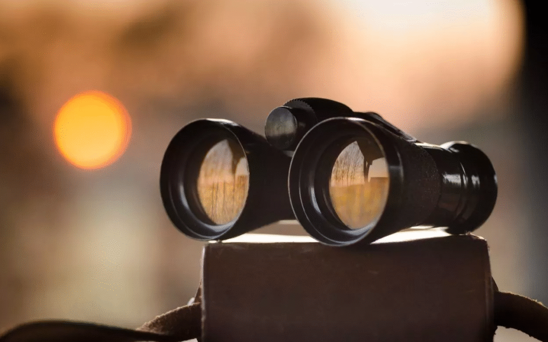 How to find a good Accountant in your area